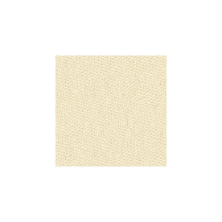 Kravet Basics 33120-1111 by Kravet Basics Fabric Kravet Basics Fabric Kravet Basics 33120-1111Fabric PERFECT PLAINS POLYESTER - 100% India </p><p>Repeat: H: , V: 56 - Fabric Carolina -