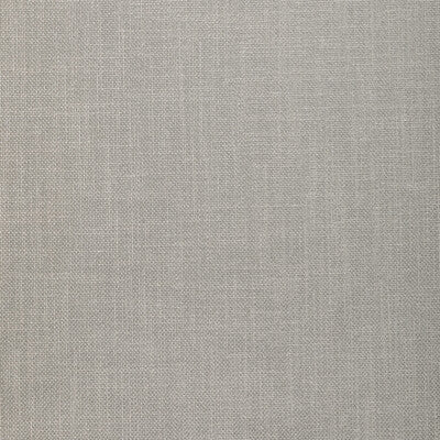 33120.161.0 by Kravet Fabric Kravet Fabric 33120.161.0Fabric POLYESTER - 100% India </p><p>Repeat: H: 0, V: 0 54 - Fabric Carolina -