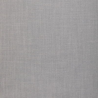 33120.2110.0 by Kravet Fabric Kravet Fabric 33120.2110.0Fabric POLYESTER - 100% India </p><p>Repeat: H: 0, V: 0 54 - Fabric Carolina -