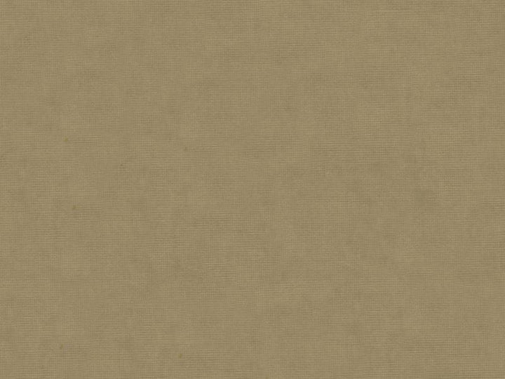 33125.106 by Kravet Design Designer Fabric our website for purchase Cotton 61%, Viscose 39% Netherlands see sample Horizontal: see sample and Vertical: see sample 55 inches - Swanky Fabrics -