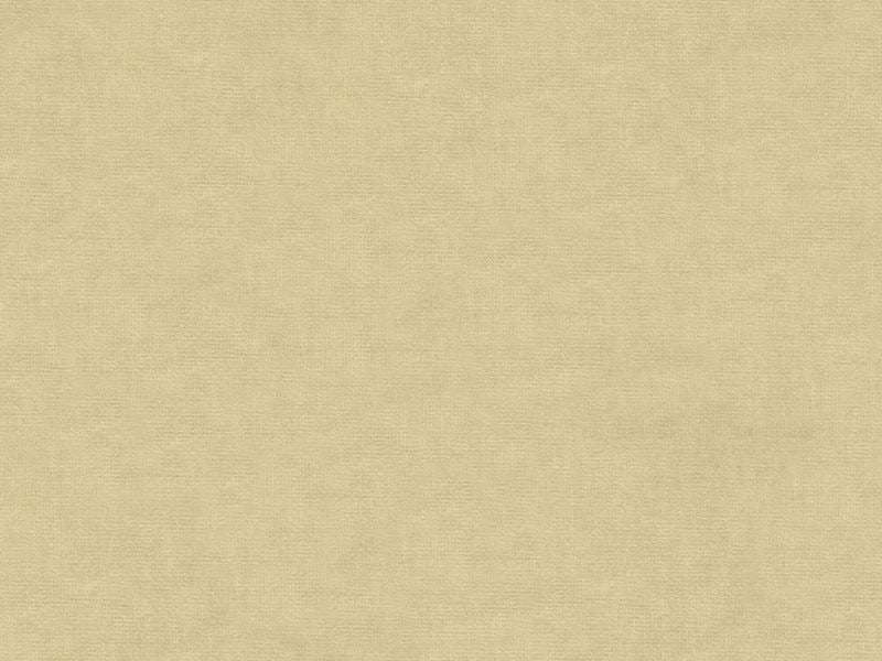 33125.1111 by Kravet Design Designer Fabric our website for purchase Cotton 61%, Viscose 39% Netherlands see sample Horizontal: see sample and Vertical: see sample 55 inches - Swanky Fabrics -