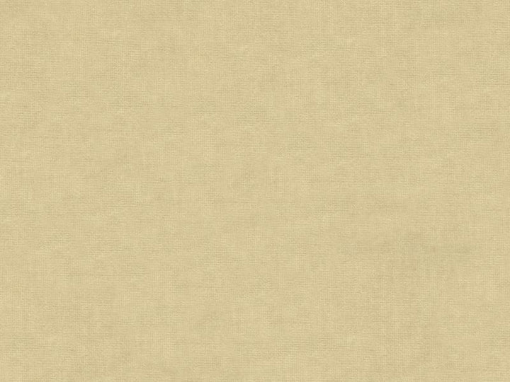 33125.1111 by Kravet Design Designer Fabric our website for purchase Cotton 61%, Viscose 39% Netherlands see sample Horizontal: see sample and Vertical: see sample 55 inches - Swanky Fabrics -