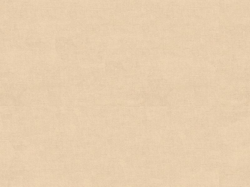 33125.1116 by Kravet Design Designer Fabric in our sample Cotton 61%, Viscose 39% Netherlands See Sample Horizontal: See Sample and Vertical: See Sample 55 inches - Swanky Fabrics -