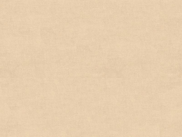 33125.1116 by Kravet Design Designer Fabric in our sample Cotton 61%, Viscose 39% Netherlands See Sample Horizontal: See Sample and Vertical: See Sample 55 inches - Swanky Fabrics -