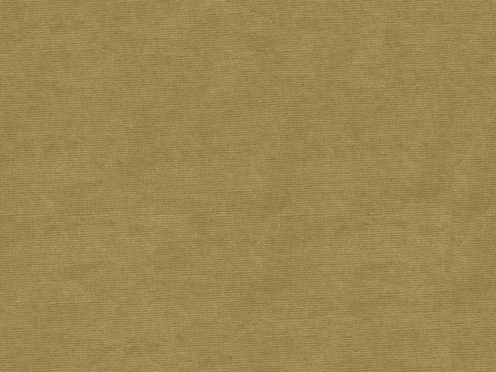 33125.1616 by Kravet Design Designer Fabric - Cotton 61%, Viscose 39% Netherlands - H" -, V: - 55 inches  - Swanky Fabrics -  Kravet Design