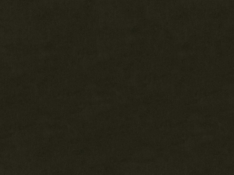 33125.21 by Kravet Design Designer Fabric in our sample Cotton 61%, Viscose 39% Netherlands See Sample Horizontal: See Sample and Vertical: See Sample 55 inches - Swanky Fabrics -