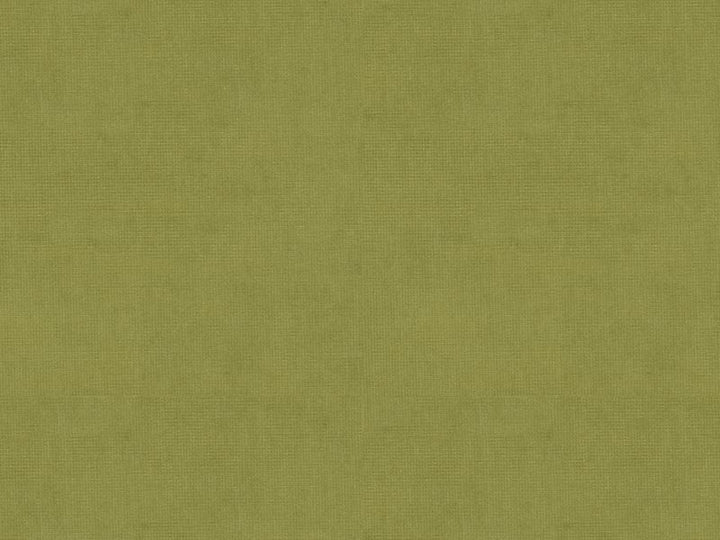 33125.303 by Kravet Design Designer Fabric - Cotton 61%, Viscose 39% Netherlands - H" -, V: - 55 inches  - Swanky Fabrics -  Kravet Design