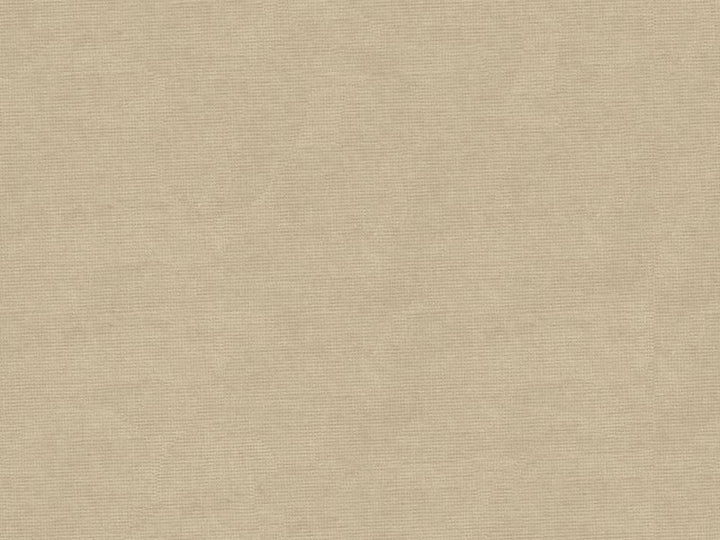 33125.311 by Kravet Design Designer Fabric in our sample Cotton 61%, Viscose 39% Netherlands See Sample Horizontal: See Sample and Vertical: See Sample 55 inches - Swanky Fabrics -