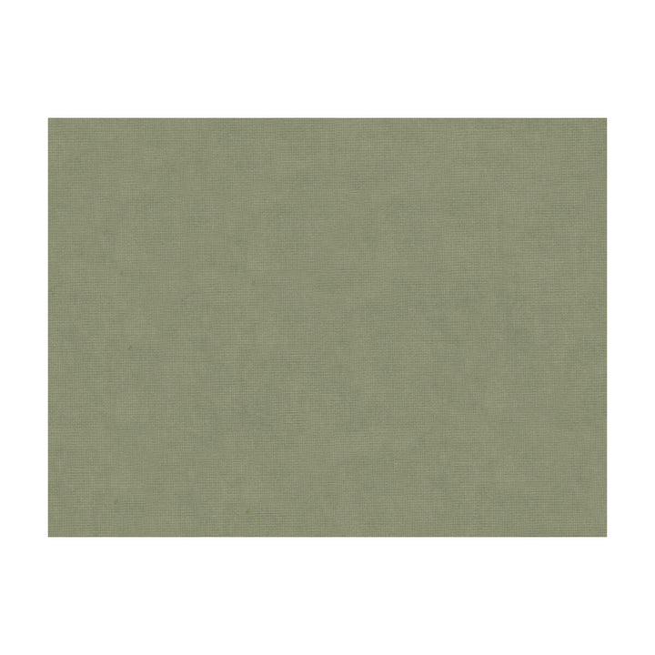 33125-1130 by Kravet Design Designer Fabric COTTON - 61%;VISCOSE - 39% Netherlands Horizontal: and Vertical: 55 - Swanky Fabrics -