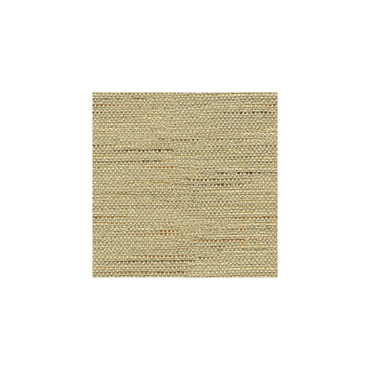 33135-106 by Kravet Basics Designer Fabric ECHO HEIRLOOM INDIA POLYESTER - 80%;COTTON - 20% China HEAVY Horizontal: and Vertical: 56 - Swanky Fabrics -