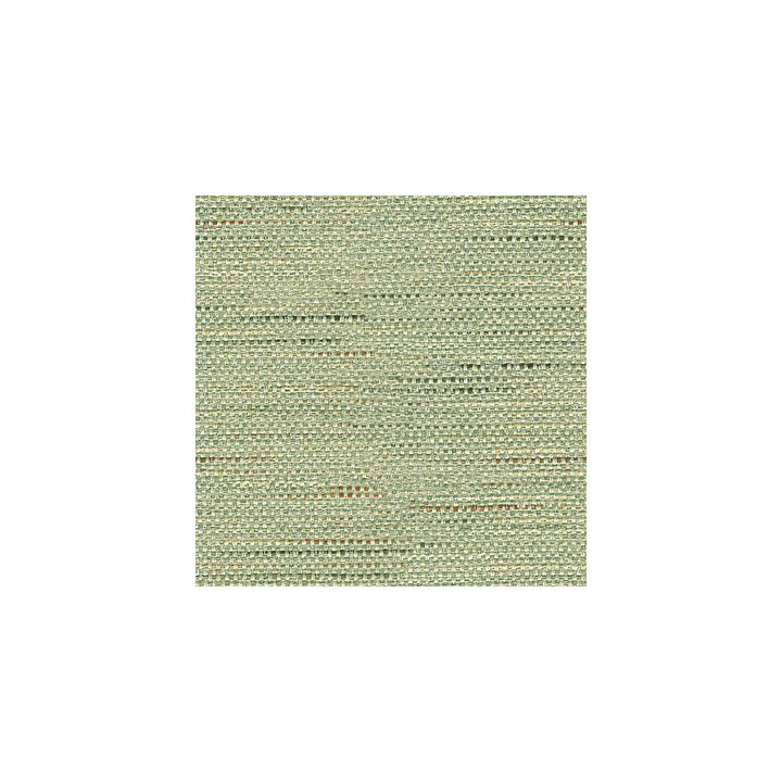 33135-135 by Kravet Basics Designer Fabric ECHO HEIRLOOM INDIA POLYESTER - 80%;COTTON - 20% China HEAVY Horizontal: and Vertical: 56 - Swanky Fabrics -