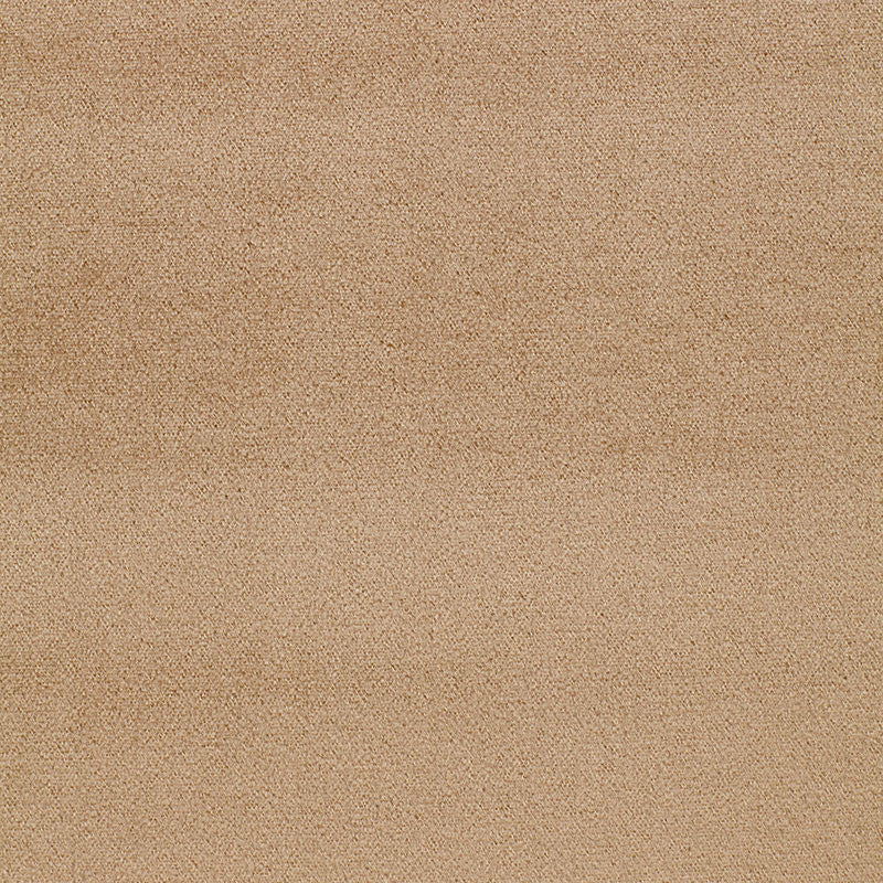 Chatham Mohair Velvet Putty 3317011 by Schumacher Designer Fabric LUXURY PLAINS See Sample HOLLAND HEAVY DUTY </p><p>Repeat: Horizontal: - and Vertical: - 54" WIDE (137CM) - Swanky Fabrics -