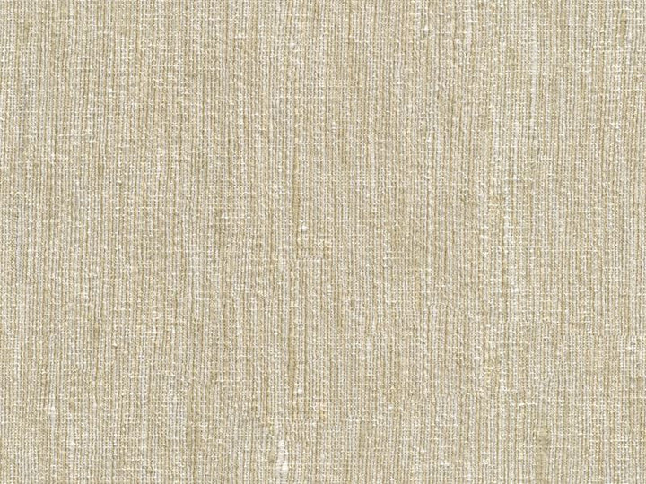 33281.1116 by Kravet Basics Designer Fabric our website for purchase Polyester 100% India Heavy Horizontal: see sample and Vertical: see sample 54 inches - Swanky Fabrics -