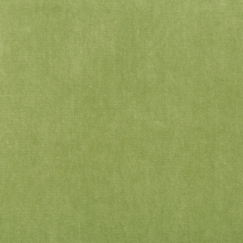 Kravet Basics 33299-303 by Kravet Basics Fabric Kravet Basics Fabric Kravet Basics 33299-303Fabric POLYESTER - 75%;COTTON - 25% China </p><p>Repeat: H: , V: 54 - Fabric Carolina -