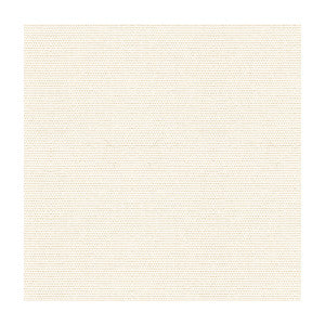 Cover Salt by Kravet Design Designer Fabric