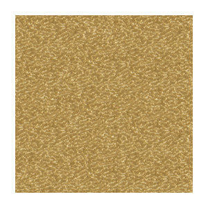 Turn Heads Vanilla by Kravet Couture Designer Fabric