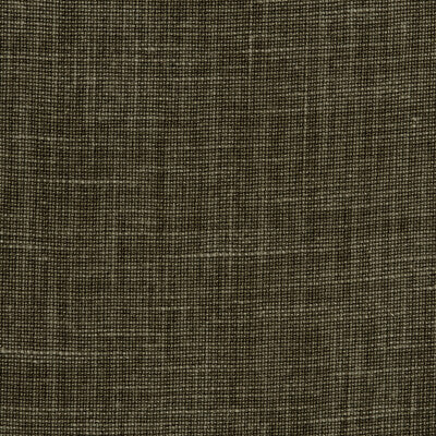 Mendoza Linen - Petro 37625.66.0 by Kravet Couture Designer Fabric