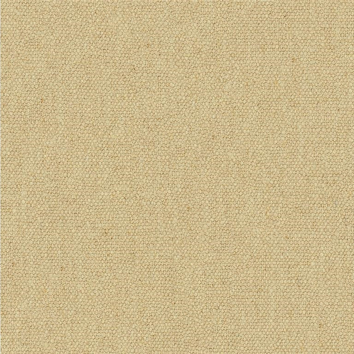 33771.116 by Kravet Basics Designer Fabric in our sample Linen 55%, Cotton 45% China Light Horizontal: See Sample and Vertical: See Sample 54 inches - Swanky Fabrics -
