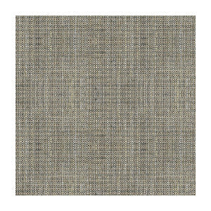 Rafael Coal by Kravet Basics Designer Fabric