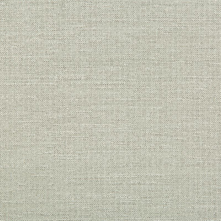 33831.1101 by Kravet Smart Designer Fabric Performance Crypton Home Rayon 72%, Polyester 28% USA Heavy Horizontal: see sample and Vertical: see sample 55 inches - Swanky Fabrics -