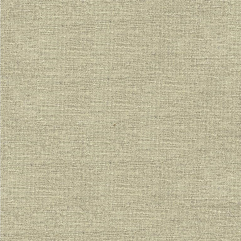33831.1611 by Kravet Smart Designer Fabric Crypton Home Rayon 72%, Polyester 28% USA Heavy Horizontal: see sample and Vertical: see sample 55 inches - Swanky Fabrics -