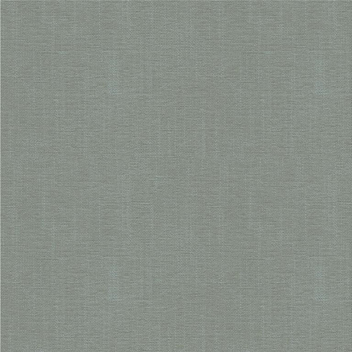 33831.52 by Kravet Smart Designer Fabric Crypton Home Rayon 72%, Polyester 28% USA Heavy Horizontal: see sample and Vertical: see sample 55 inches - Swanky Fabrics -