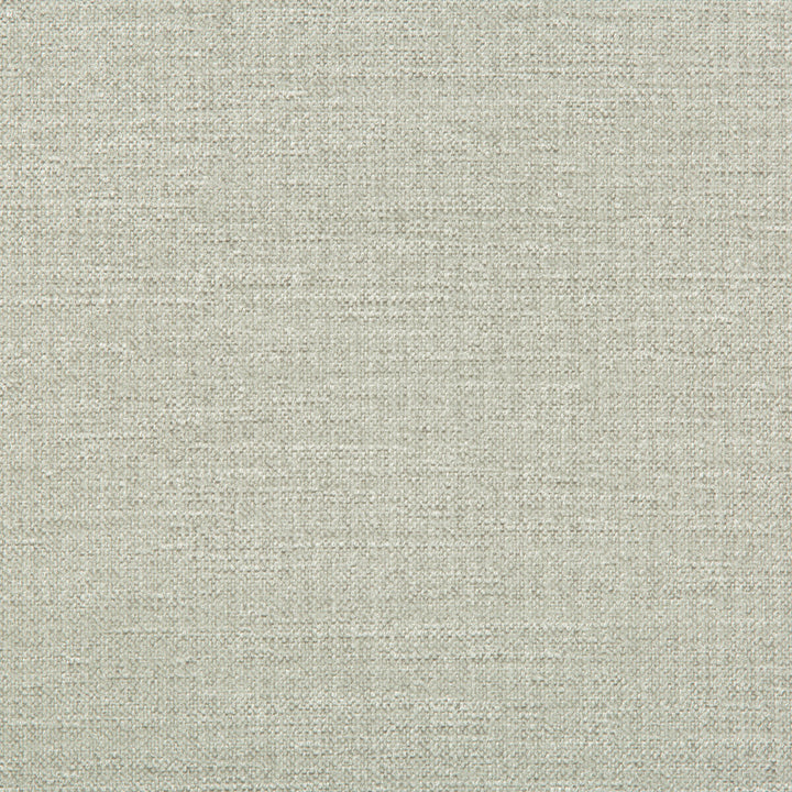 33831-1101 by Kravet Smart Designer Fabric PERFORMANCE CRYPTON HOME RAYON - 72%;POLYESTER - 28% United States HEAVY Horizontal: - and Vertical: - 55 - Swanky Fabrics -