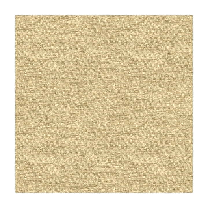 33831-116 by Kravet Smart Designer Fabric PERFORMANCE CRYPTON HOME RAYON - 72%;POLYESTER - 28% United States HEAVY Horizontal: and Vertical: 55 - Swanky Fabrics -