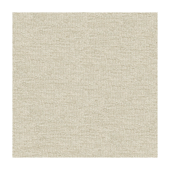 33831-1601 by Kravet Smart Designer Fabric PERFORMANCE CRYPTON HOME RAYON - 72%;POLYESTER - 28% United States HEAVY Horizontal: and Vertical: 55 - Swanky Fabrics -