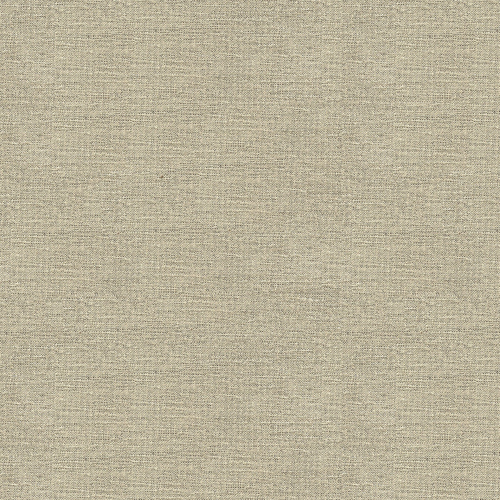 33831-1611 by Kravet Smart Designer Fabric PERFORMANCE CRYPTON HOME RAYON - 72%;POLYESTER - 28% United States HEAVY Horizontal: and Vertical: 55 - Swanky Fabrics -