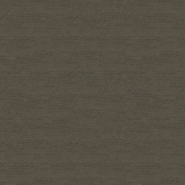 33831-21 by Kravet Smart Designer Fabric PERFORMANCE CRYPTON HOME RAYON - 72%;POLYESTER - 28% United States HEAVY Horizontal: and Vertical: 55 - Swanky Fabrics -