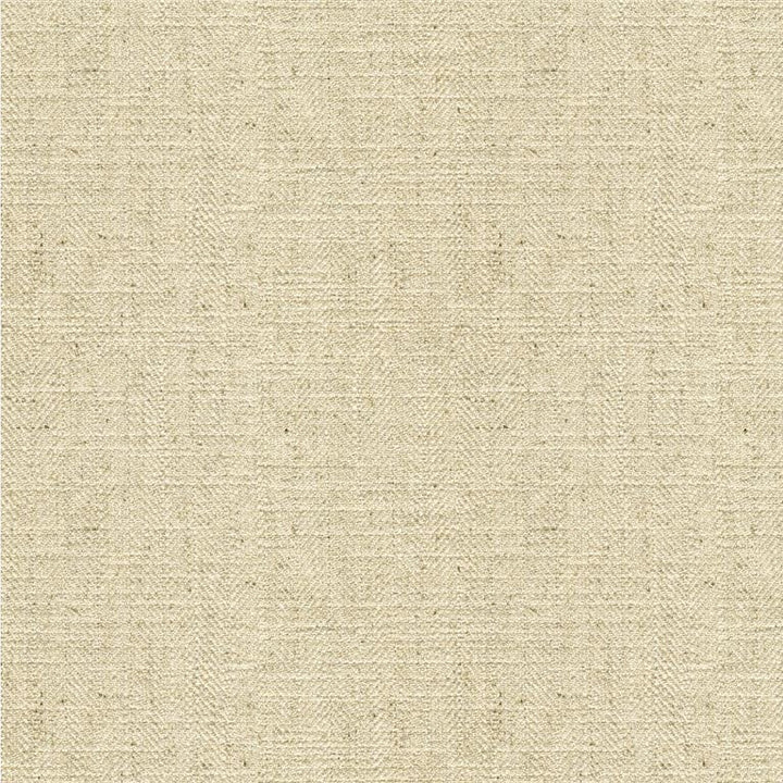 33842.2111 by Kravet Basics Designer Fabric in our sample Cotton 25%, Linen 25%, Polyester 25%, Rayon 25% India Heavy Horizontal: See Sample and Vertical: See Sample 54 inches - Swanky Fabrics -