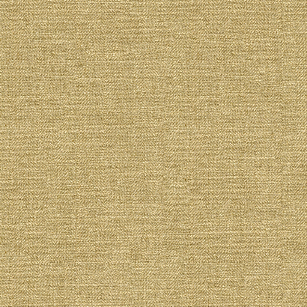 Kravet Basics - 33842-1666 33842.1666.0 by Kravet Basics Designer Fabric