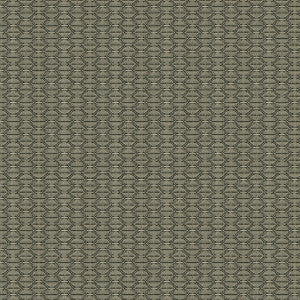 Nzuri Thunder by Kravet Contract Designer Fabric