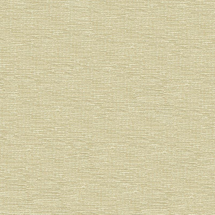 33876.1001 by Kravet Contract Designer Fabric Crypton Incase Rayon 72%, Polyester 28% USA Heavy Horizontal: see sample and Vertical: see sample 55 inches - Swanky Fabrics -