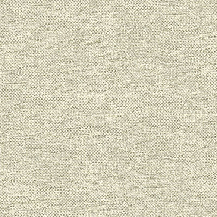 33876.1601 by Kravet Contract Designer Fabric in our sample Rayon 72%, Polyester 28% USA Heavy Horizontal: See Sample and Vertical: See Sample 55 inches - Swanky Fabrics -