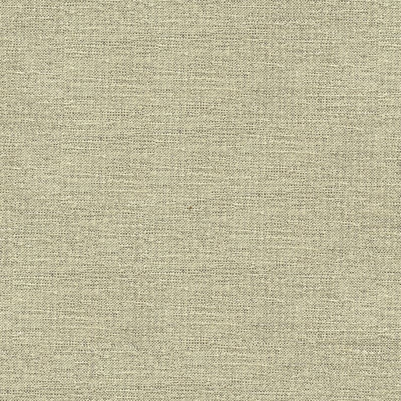 33876.1611 by Kravet Contract Designer Fabric in our sample Rayon 72%, Polyester 28% USA Heavy Horizontal: See Sample and Vertical: See Sample 55 inches - Swanky Fabrics -
