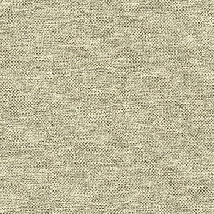 33876.1611 by Kravet Contract Designer Fabric Crypton Incase Rayon 72%, Polyester 28% USA Heavy Horizontal: see sample and Vertical: see sample 55 inches - Swanky Fabrics -