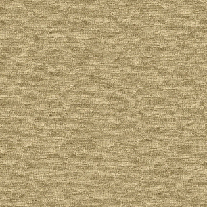 33876-1616 by Kravet Contract Designer Fabric CRYPTON INCASE RAYON - 72%;POLYESTER - 28% United States HEAVY Horizontal: and Vertical: 55 - Swanky Fabrics -