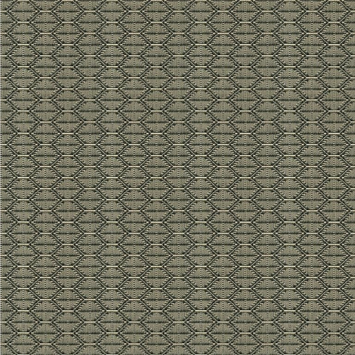 33880.1621 by Kravet Design Designer Fabric Tanzania J Banks Cotton 100% USA Heavy Horizontal: 2.5 inches and Vertical: 1 inch 59.5 inches - Swanky Fabrics -