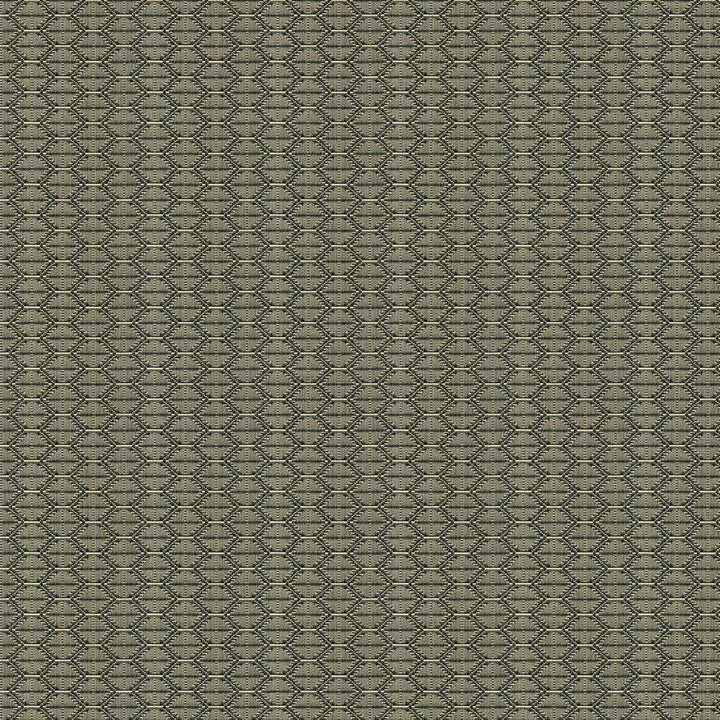 33880-1621 by Kravet Design Designer Fabric TANZANIA J BANKS COLLECTION COTTON - 100% United States HEAVY Horizontal: 2.5 and Vertical: 1 59.5 - Swanky Fabrics -
