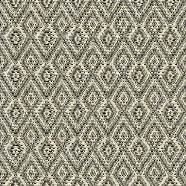 33881.1611 by Kravet Design Designer Fabric Tanzania J Banks Cotton 100% USA Heavy Horizontal: 4.5 inches and Vertical: 4 inches 55.5 inches - Swanky Fabrics -