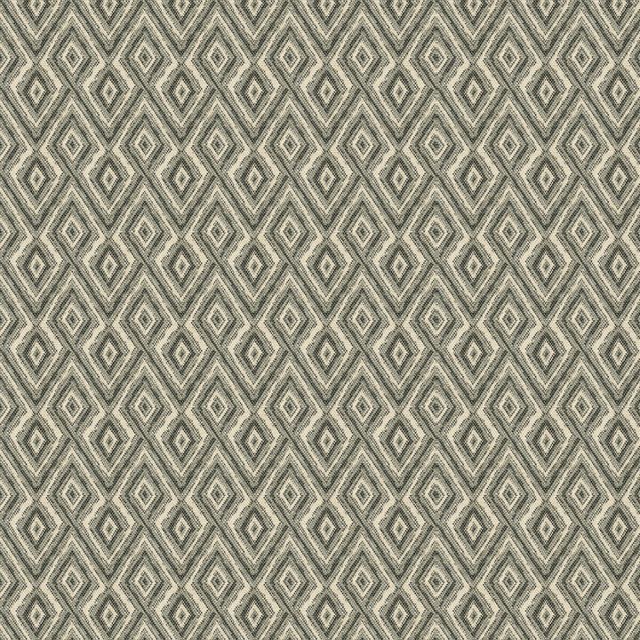 33881-1611 by Kravet Design Designer Fabric TANZANIA J BANKS COLLECTION COTTON - 100% United States HEAVY Horizontal: 4.5 and Vertical: 4 55.5 - Swanky Fabrics -