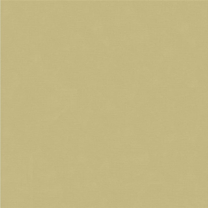 33886.1106 by Kravet Couture Designer Fabric - Cotton 61%, Silk 39% India - H" -, V: - 55 inches  - Swanky Fabrics -  Kravet Couture