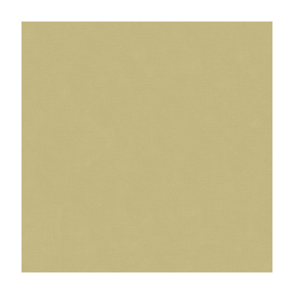 33886-1106 by Kravet Couture Designer Fabric COTTON - 61%;SILK - 39% India Horizontal: and Vertical: 55 - Swanky Fabrics -