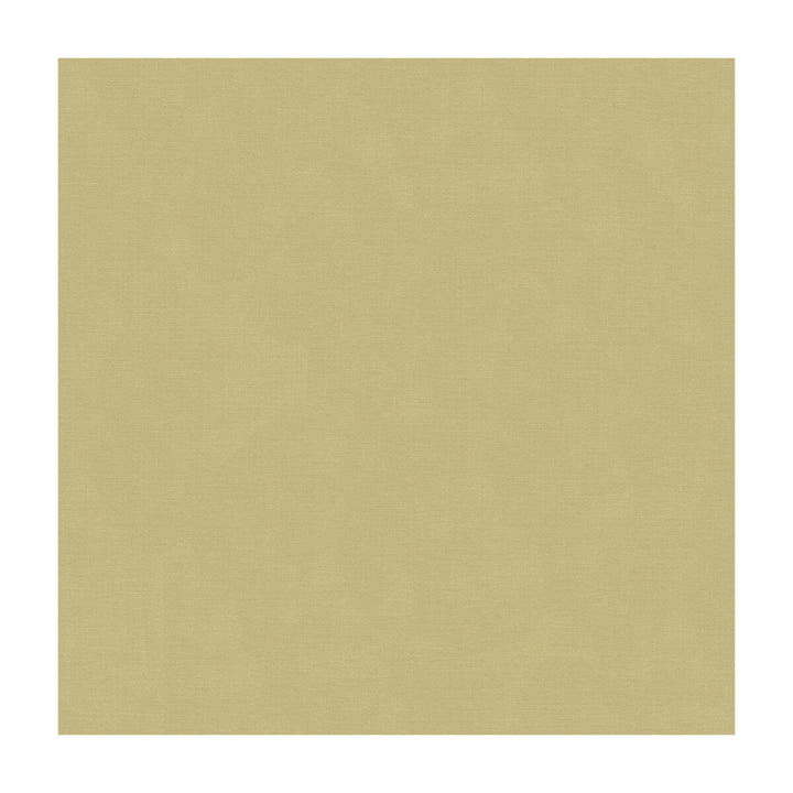 33886-1106 by Kravet Couture Designer Fabric COTTON - 61%;SILK - 39% India Horizontal: and Vertical: 55 - Swanky Fabrics -