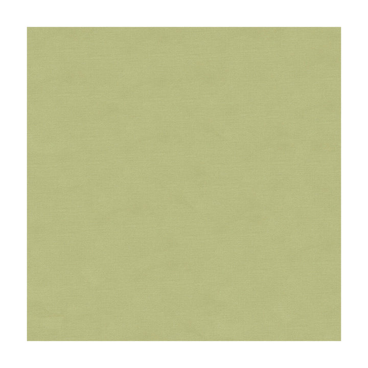 33886-1110 by Kravet Couture Designer Fabric COTTON - 61%;SILK - 39% India Horizontal: and Vertical: 55 - Swanky Fabrics -
