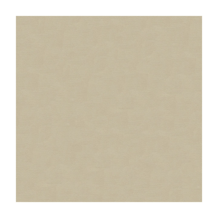 33886-1611 by Kravet Couture Designer Fabric COTTON - 61%;SILK - 39% India Horizontal: and Vertical: 55 - Swanky Fabrics -