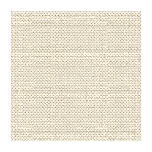 Sener Ivory by Kravet Design Designer Fabric