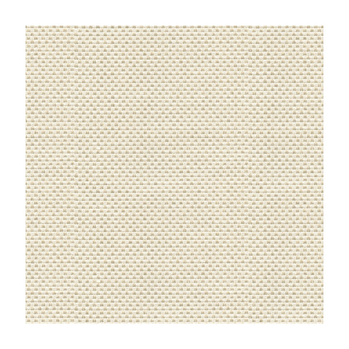 Sener Ivory by Kravet Design Designer Fabric CONSTANTINOPLE POLYESTER - 76%;COTTON - 24% Turkey HEAVY Horizontal: and Vertical: 55 - Swanky Fabrics -